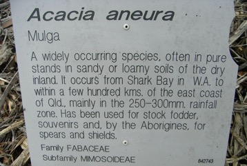 Mulga, Yarran