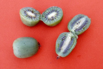 Hardy Kiwi