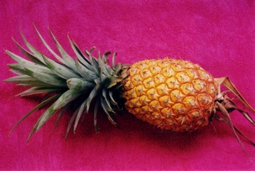 Pineapple