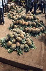 Pineapple
