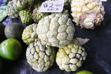 Cherimoya