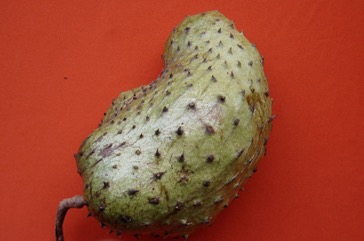 Soursop