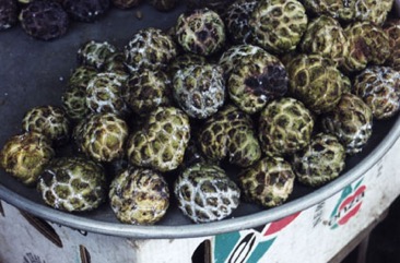 Sweetsop