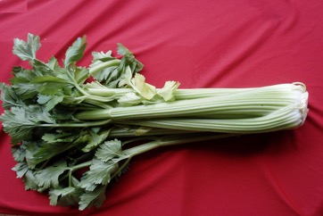 Celery, Stalk celery