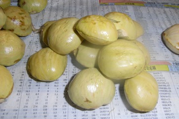 Jengkol, Jiringa