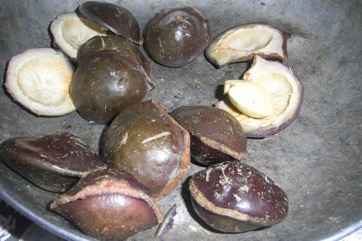 Jengkol, Jiringa