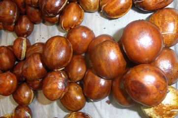 Jengkol, Jiringa