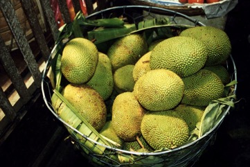 Jackfruit