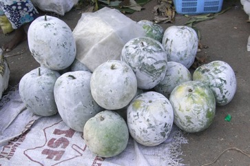 Wax gourd
