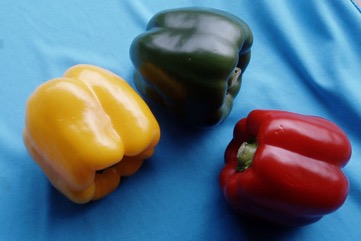 Capsicum