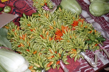 Bird"s eye chillies
