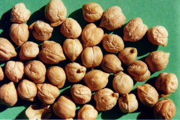 Chickpea