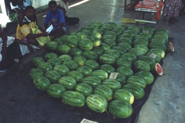 Watermelon
