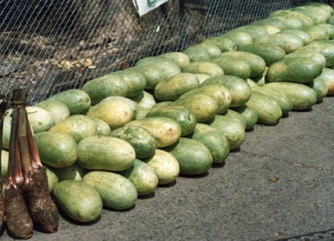 Watermelon
