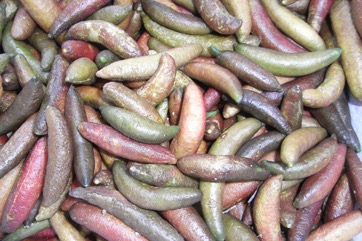 Finger lime, Australian Finger Lime