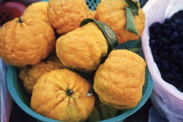 Citron