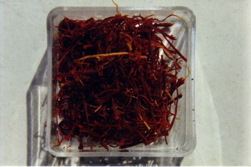 Saffron, Saffron Crocus
