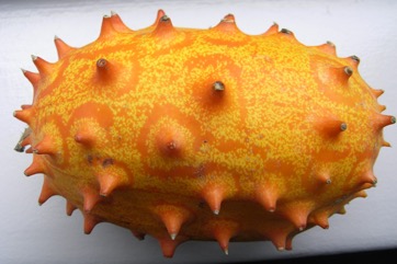 African Horned cucumber, Kiwano