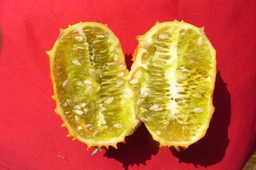 African Horned cucumber, Kiwano