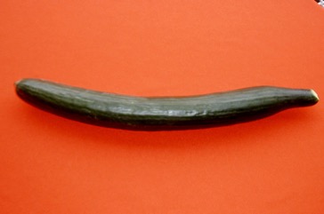 Cucumber