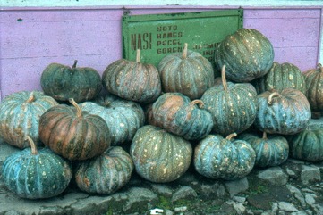 Pumpkin, Winter squash