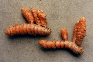 Turmeric