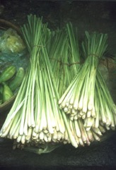 Lemon grass