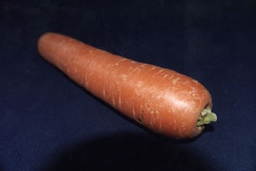 Carrot