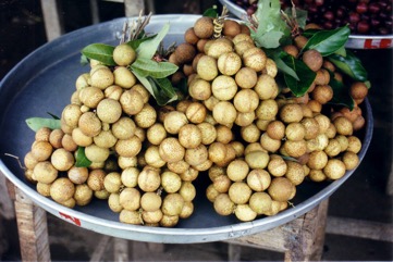 Longan