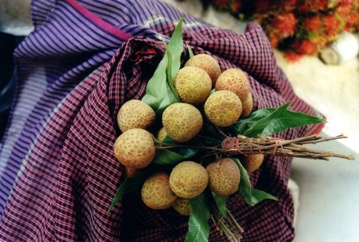 Longan