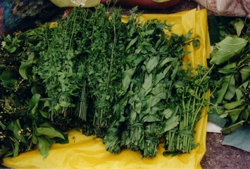 Vegetable-fern, Paco fern