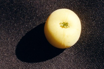 Key apple