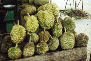 Durian