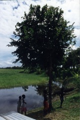 Rukam