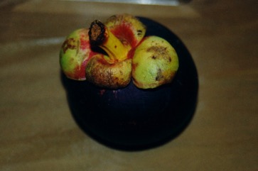 Mangosteen