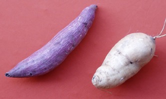 Sweet potato