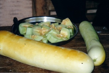 Bottle gourd