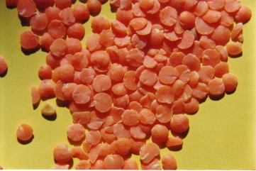 Lentils