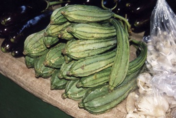 Angled loofah