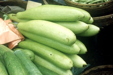 Smooth loofah, Vegetable sponge