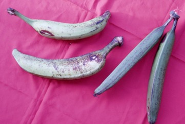 Banana, Hybrid plantains