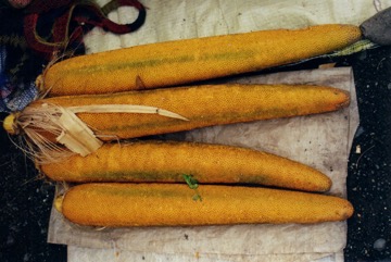Marita, red fruit pandan