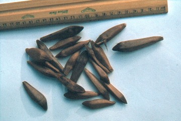 Karuka