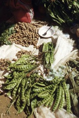 Pete, Bitter bean tree