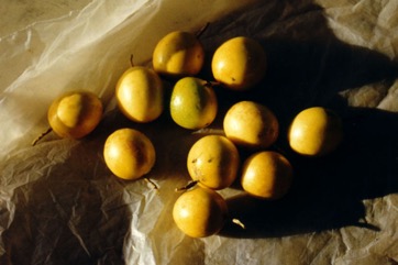 Purple passionfruit