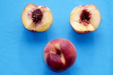Peach