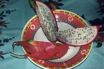 Dragon fruit